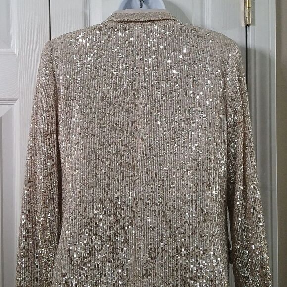 Banana Republic beige sequin blazer Sz 4 NWOT Classy unique Party - Picture 6 of 8